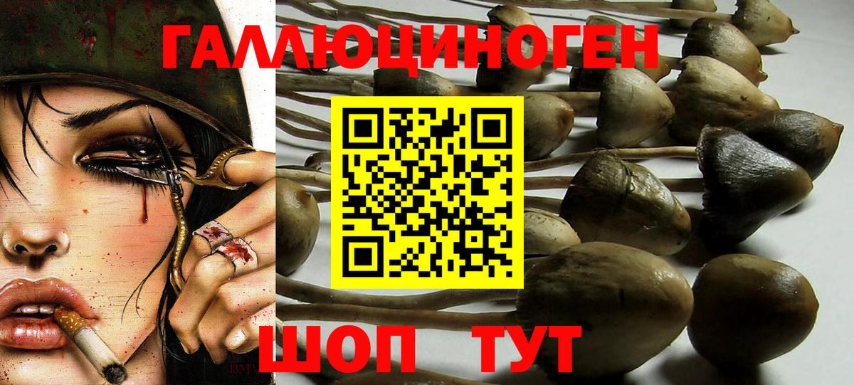 Галлюциногенные грибы мицелий  Вход с VPN  Норильск  Галлюциногенные грибы Cubensis 